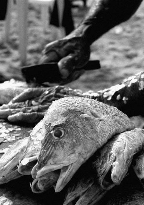 Fortaleza-Jorge-Quintao_Fotografia_Documental (8)